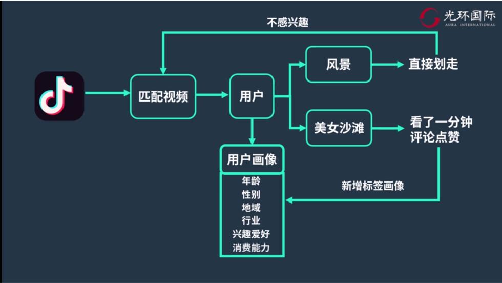 抖音算法逻辑.jpg