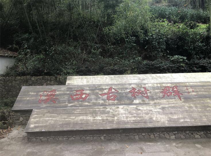 溪西游